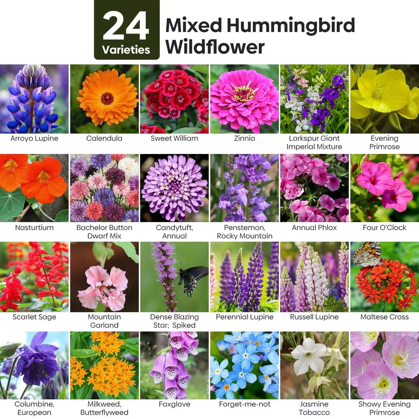 Mezcla Premium de Flores Silvestres para Colibríes y Mariposas