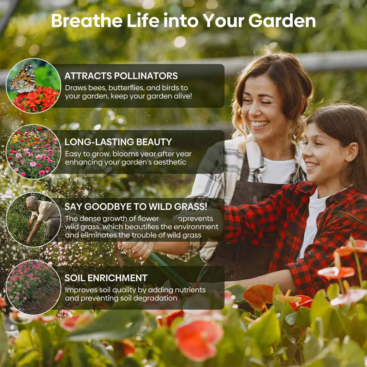 Mezcla Premium de Flores Silvestres para Colibríes y Mariposas